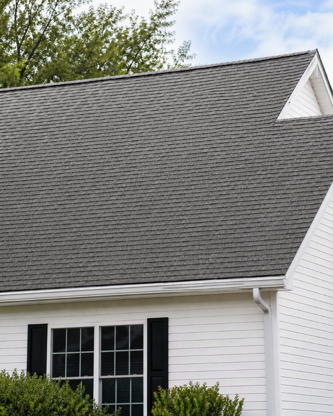 Roof after soft-wash cleaning — algae and moss removed, shingles restored to original color