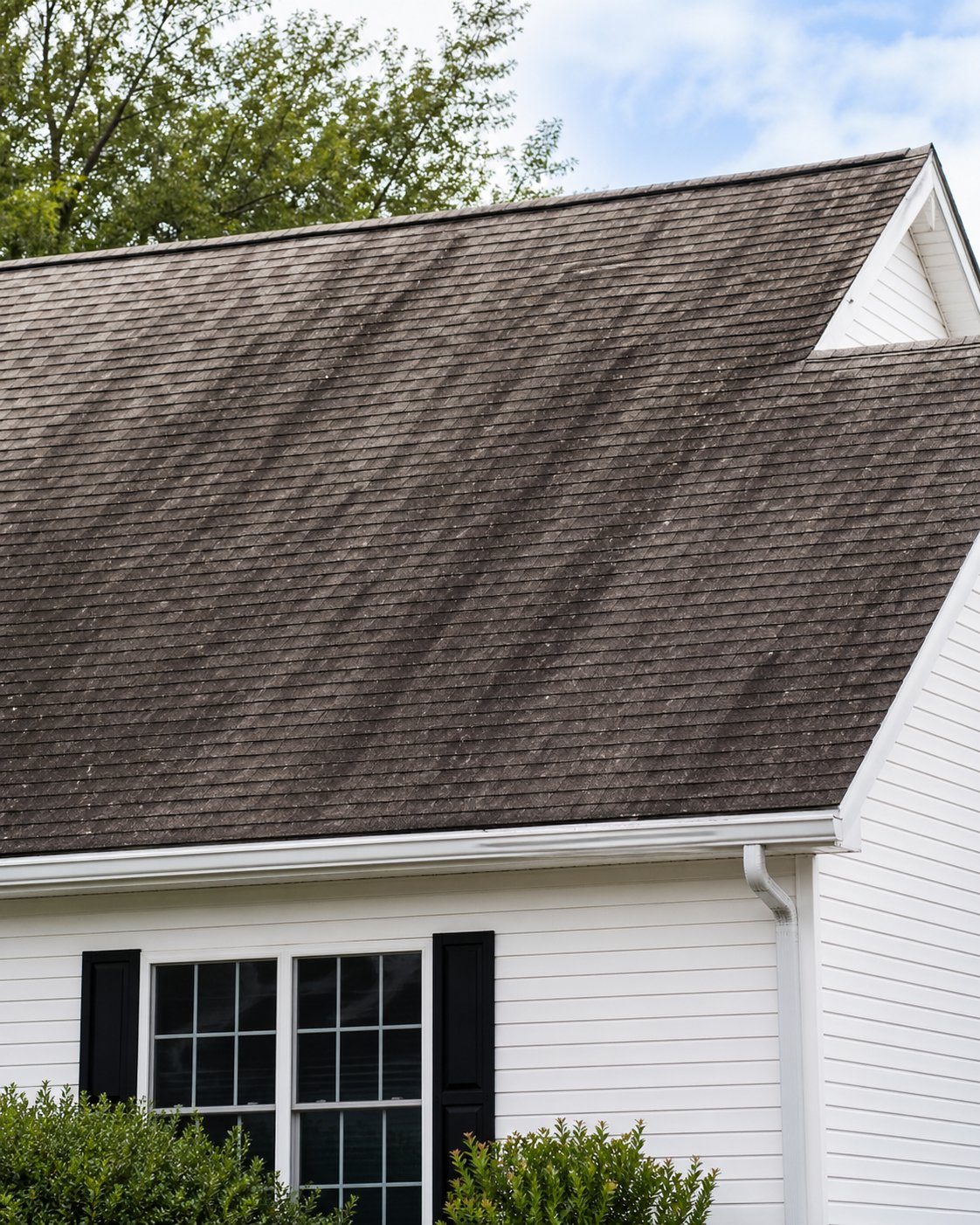 Roof before cleaning — black streaks from Gloeocapsa Magma algae and moss growing on shingles